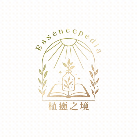 載入中...